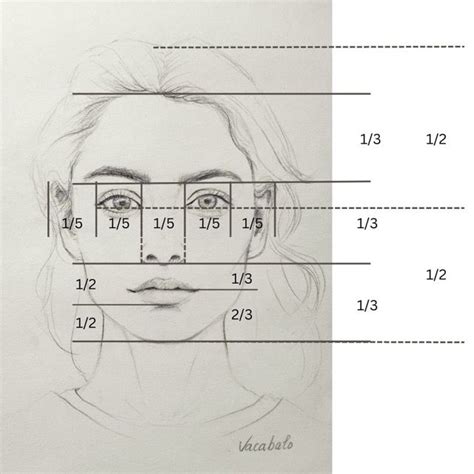 How To Draw A Face Step By Step Facial Proportions Vacabalo In 2025
