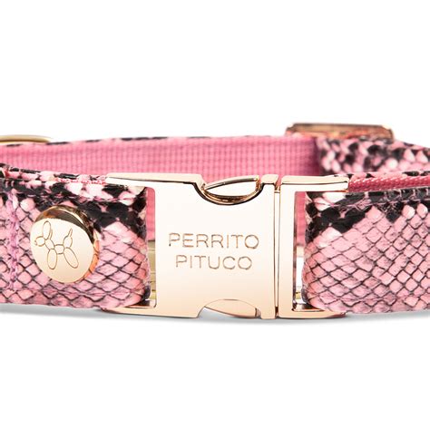 Ripley COLLAR PERROS Y GATOS PYTHON PERRITO PITUCO NUDE TALLA L