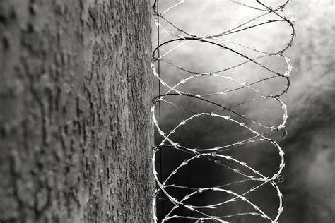 Breaking Point - Behind Bars: Rookie Year | A&E