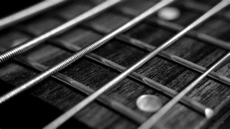 Лады бас гитары. Зачем, сколько, какие? - BassGuitarPro.ru