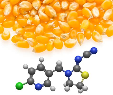 Understanding the impact of neonicotinoid insecticides – Clean Wisconsin