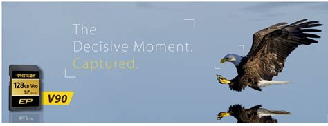 Patriot Announces Release of V90 SDXC UHS-II U3 Class 10 SD Card ...