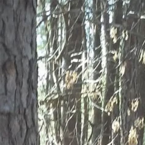 Stream Fuck Anxiety Part 1 Og Version By Joe 2 Sleepy Listen Online For Free On SoundCloud