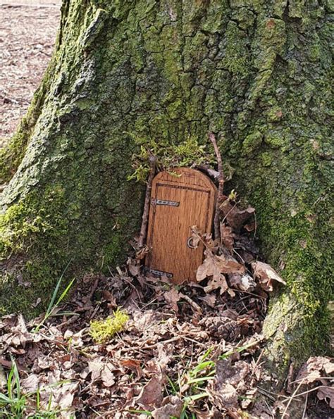 19 Astonishing Finds Hidden In Forests – Barnorama