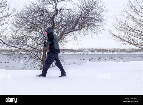 bundled  man exercises  walks  snowy weather    north