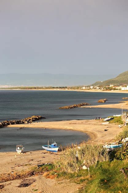 page  pizzo images    freepik