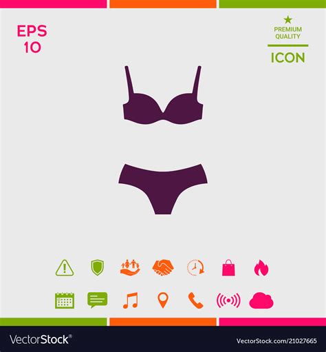 Set Of Lingerie Or Swimsuit Two Piece Bikini Vector Image
