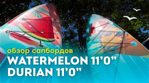 Любимый сапборд сапбордистов?! Обзор сапборда WATERMELON 11'0" - YouTube