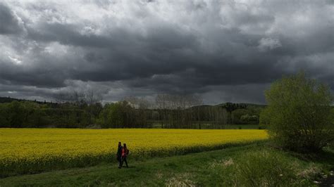 Jince a okolí – prazskadzungle.eu