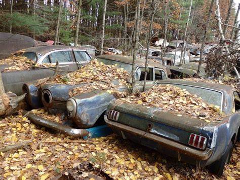 how to junk a car in new jersey