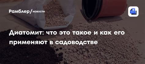 Диатомит: что это такое и как его применяют в садоводстве - Рамблер/новости