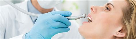 What Is Dental Lamina