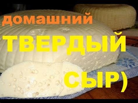 ФЕРМЕРСКИЙ СЫР делаем на МЕЙТО в сыроварне ТРЕМАСОВА - YouTube
