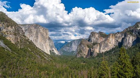 Tapety zdjęcia Park Narodowy Yosemite Drzewa Yosemite Valley