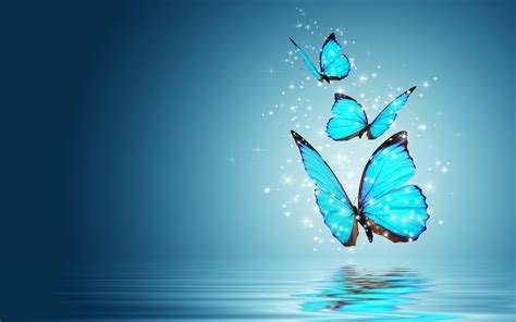 Blue Butterflies Wallpapers Top Free Blue Butterflies Backgrounds