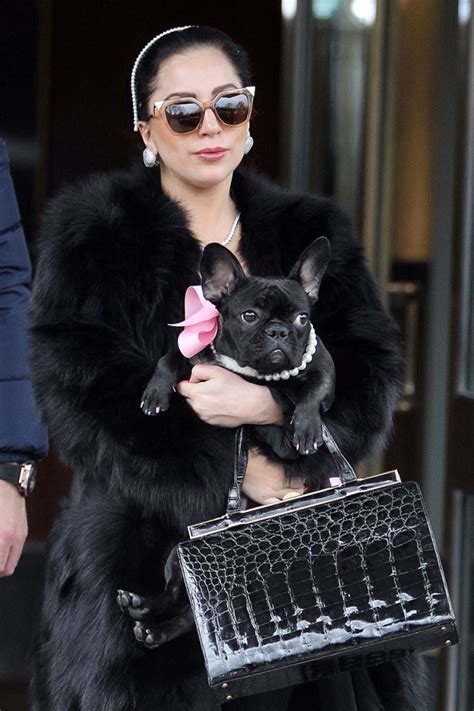 Lady Gaga And Her Frenchie Asia Are All About The Pearls Usa Canada