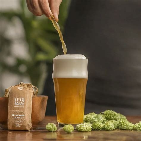 Maestro Cervecero Casero Guía Completa para Elaborar tu Propia Cerveza