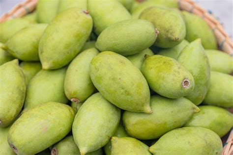 Fresh green Elaeocarpus hygrophilus Kurz in a basket 15477940 Stock ...