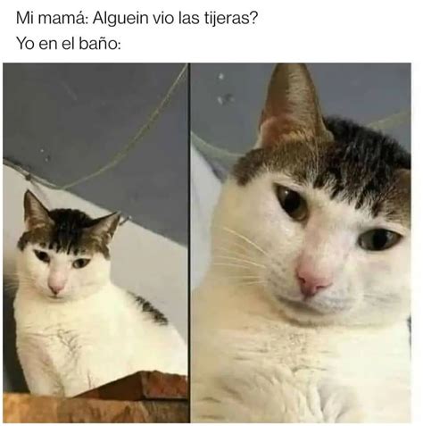 Mi mamá Alguein vio las tijeras Yo en el baño Memes