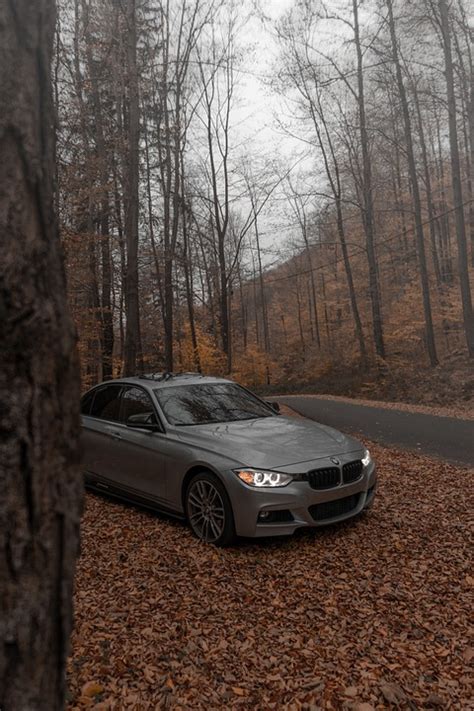 Car Bmw Nature Free Photo On Pixabay