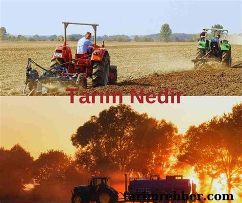 Tarım Nedir Organik Tarım Nedir Cevaplar Engelsiz Dünyam