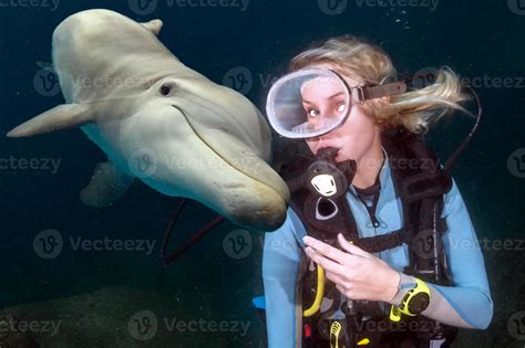 Dolphin Underwater Meets A Blonde Scuba Diver Stock Photo At