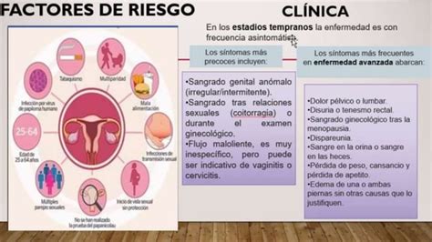 Cancer De Cervix O Cuello Uterinopptx