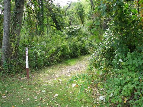 Musings From Illinois Blackhawk Springs Forest Preserve Hike With The