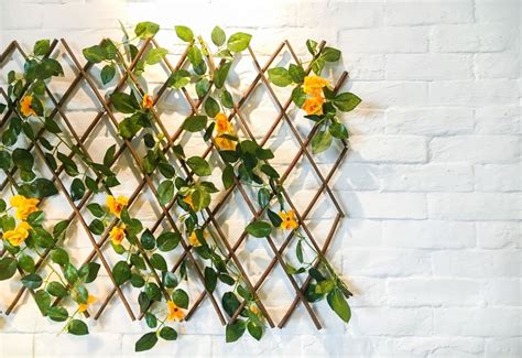 9 Creative Vine Room Decor Ideas, Bring Life into Your Interior Design