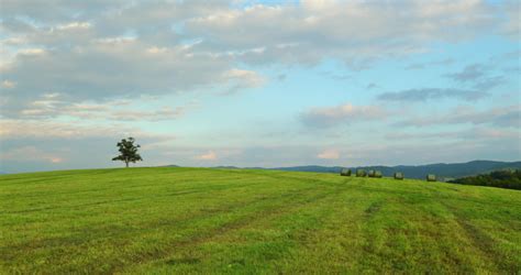 landscapes  autumn  farms  trees   sky image