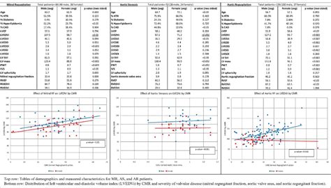 Sex Based Differences In Left Ventricular Remodeling Between Aortic Regurgitation Aortic