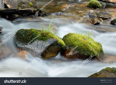 24108 Mossy River Rocks Images Stock Photos And Vectors Shutterstock