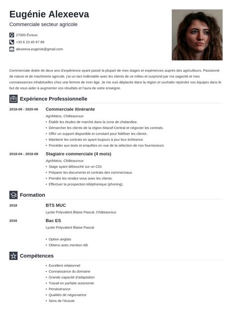 Cv Template En Francais Imagesee