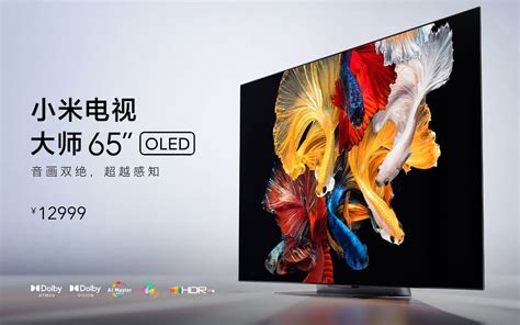 Xiaomi Mi TV Master Series : 65 pouces, OLED, 4K, HDR, 120 Hz à 1600 euros