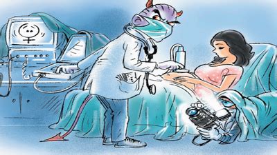 Sex Test Case Accused Paid Woman K To Use Her House Ludhiana News Times Of India