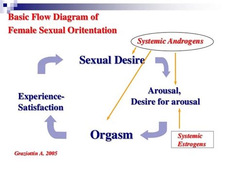 Femal Sexuality And Female Sexual Dysfunction Koc Univ