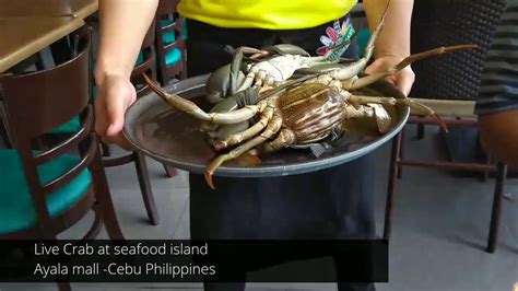 Native Live Filipino Crab Cooked Into Crab Maritess Youtube