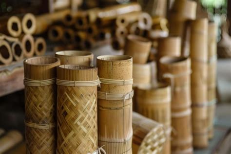 Discovering the cultural significance of bamboo in generative ai ...
