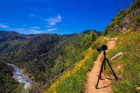 Call For Entries Submit A Placer Photo For A Chance To Be Featured In