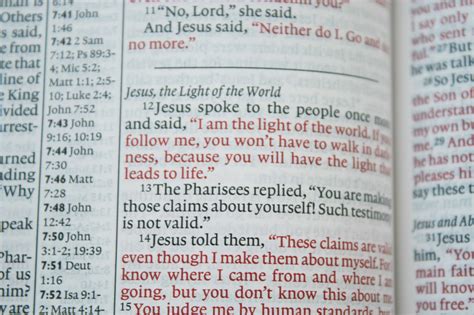 Cambridge Nlt Pitt Minion 21 Bible Buying Guide