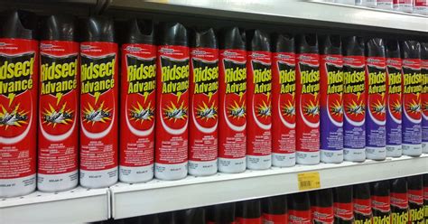 Are Raid Ant Traps Safe For Dogs