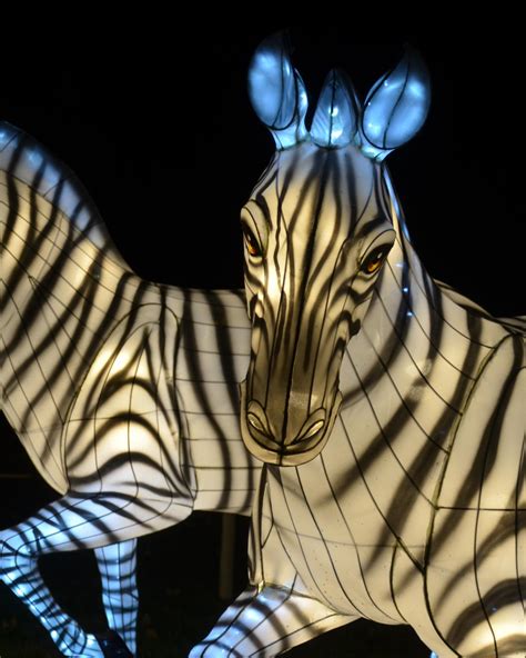 Columbus Zoo | Lantern Festival