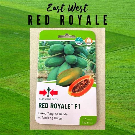 East West Eastwest Papaya Seeds Red Royale F1 Lazada Ph