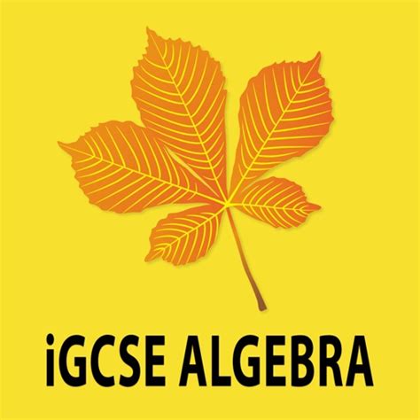 Igcse Algebra By Margarida Medlam
