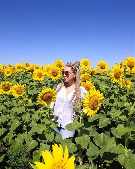 афрокосички зизи длинные косички тонкие косички косички блонд зизи прямые