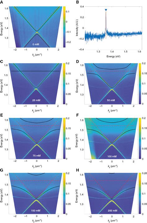 Measured Extinction Spectra In K Space Dispersion Measurements Of A