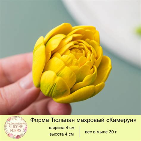 Купить Форма Тюльпан махровый "Камерун" в Железнодорожном с доставкой ...