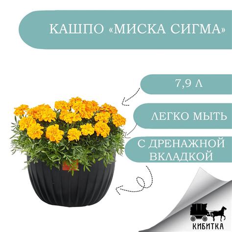 Кашпо для цветов 7,9 л. МИСКА СИГМА горшок пластиковый для цветов с ...