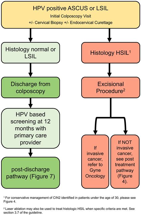 Criteria For Pap Smear