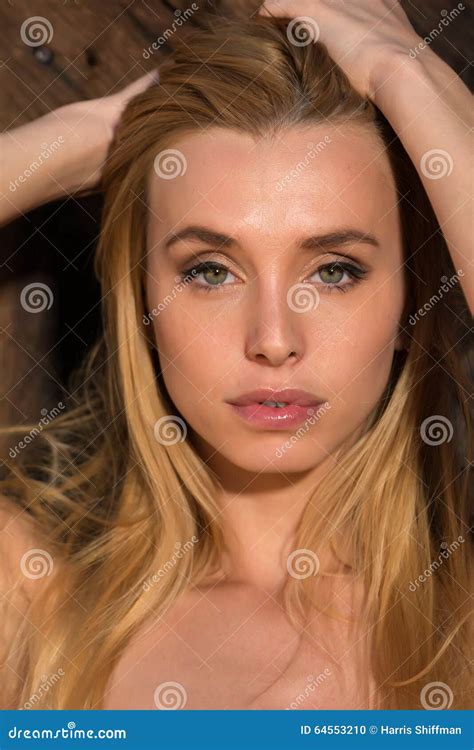 Blonde en plan rapproché photo stock Image du femme